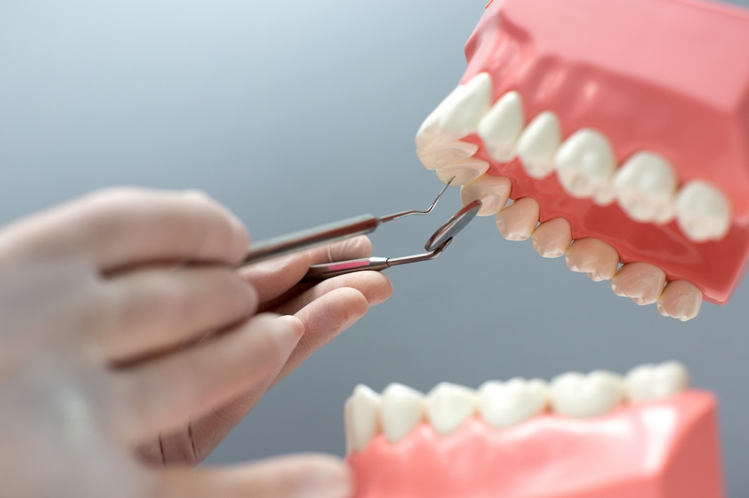 nurse-practicing-layout-jaw-with-teeth_140725-7725
